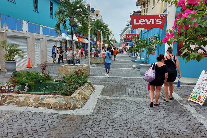 St. John's City Private Tour including Fort James - A Detailed Breakdown of the Itinerary