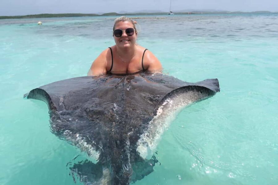 St. John's; Combo Laviscount Island & Swimming with Stingray - FAQs