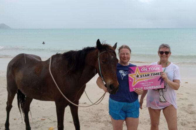 St. John's,Antigua Horse Back Riding & bareback swim & Fort beach - Who Will Love This Tour?