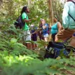 St Kitts Half-Day Rainforest Tour - The Itinerary in Detail: What Makes Each Stop Special