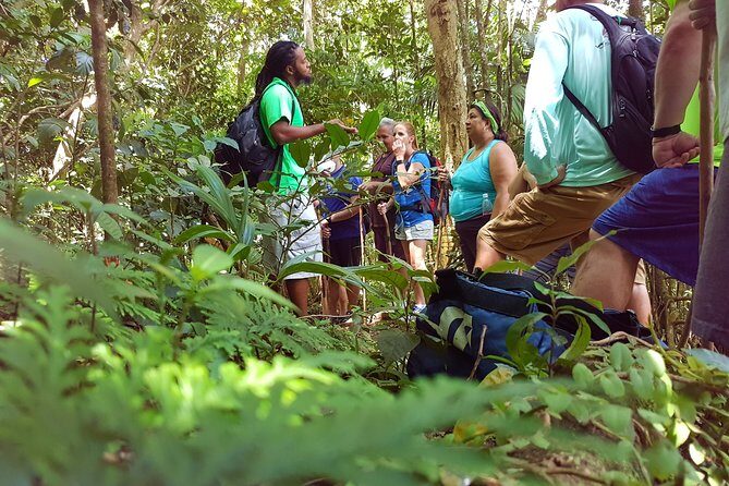 St Kitts Half-Day Rainforest Tour - The Itinerary in Detail: What Makes Each Stop Special