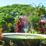 St Kitts Island Tour (Reconfirm Ship or Hotel) - Diving Deep into the St Kitts Experience