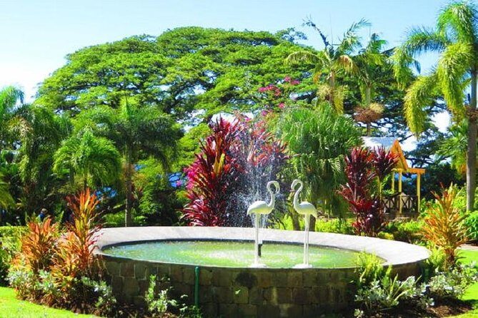 St Kitts Island Tour (Reconfirm Ship or Hotel) - Diving Deep into the St Kitts Experience