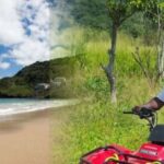 St Kitts: Jungle Bikes Off-Road Buggy & Beach Tour - The Sum Up