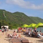 St Kitts Plantation and Beach Tour - Deep Dive into the Experience