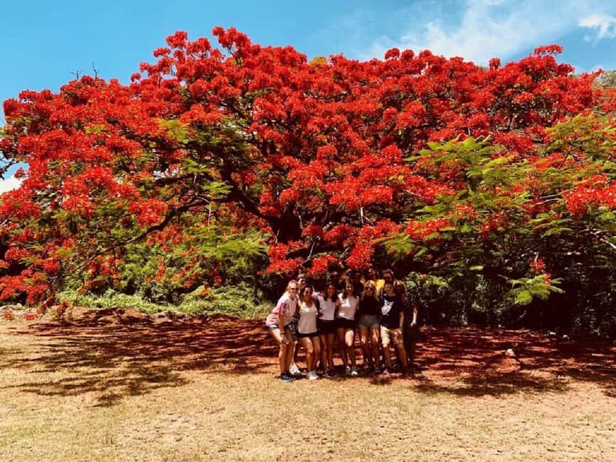 St. Kitts: Private Island Highlights Shore Excursion - What to Expect and Practical Tips