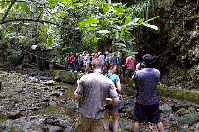 St. Kitts Rainforest Rumble (with Snacks) - Summing Up: Who Will Love the Rainforest Rumble?