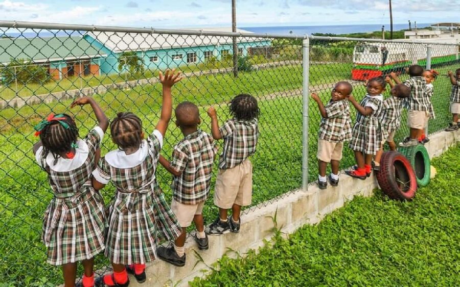 St.Kitts Sugar Train Tour with Pick Up & Drop-Off From Port. - An In-Depth Look at the St. Kitts Sugar Train Tour