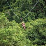 St. Kitts Zipline Experience - What Makes This Tour Stand Out?