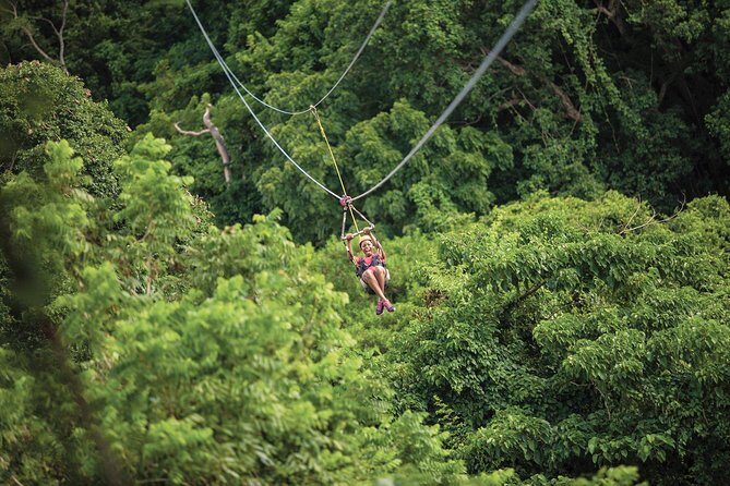 St. Kitts Zipline Experience - What Makes This Tour Stand Out?
