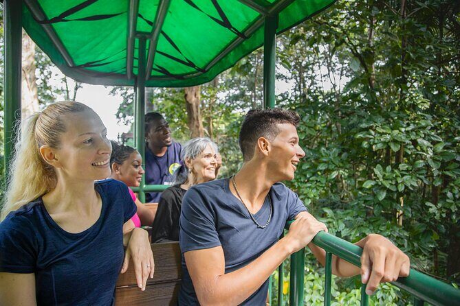 St. Lucia Aerial Tram Tour at Rainforest Adventures - Practical Tips for Your Visit