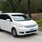 St Lucia Airport Transfer to SOUFRIERE Hotels, Resorts, Inns, AirBNB - Detailed Review of the Soufriere Airport Transfer Experience