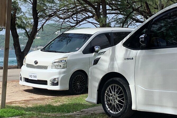 St Lucia Bamboo Rafting Experience (+Rum Tasting)