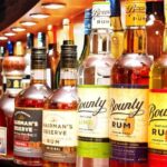 St. Lucia Botanical Gardens and Waterfall Tour Groups only - Who Should Consider This Tour?