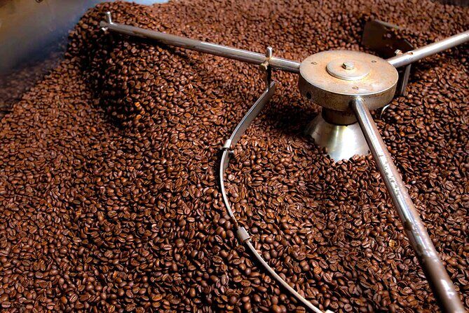 St Lucia Coffee Crop to Cup and Cocoa Bean to Chocolate Bar Tour - Who Will Love This Tour?