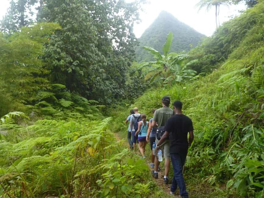 St. Lucia: Gros Piton Hike with Transportation - A Deep Dive into the Gros Piton Hike Experience