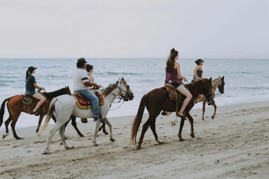 St. Lucia: Horseback Riding on the Beach with Swim - Who Should Consider This Tour?