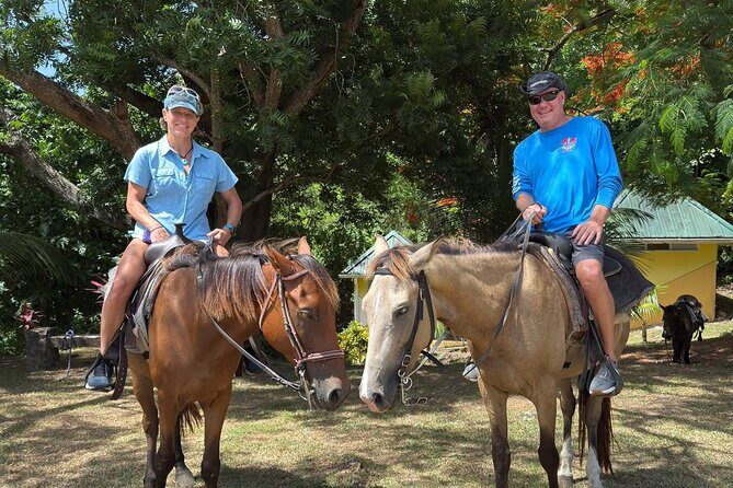 St. Lucia Horseback Riding & Zip Lining Adventure Tour - Authentic Experiences and Honest Insights