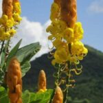 St Lucia Northern Island Tour - Final Thoughts