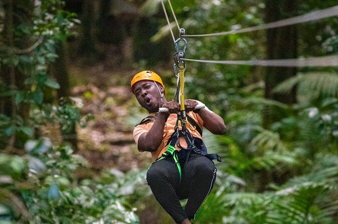 St. Lucia Rainforest Eco-Explorer: Aerial, Zip, and Hike Combo