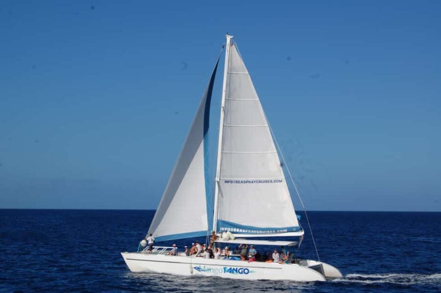 St Lucia: Sapphire Falls Hike with Cruise and Creole Lunch - A Detailed Look at the Saint Lucia Sapphire Falls Tour