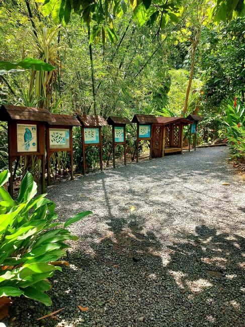 St. Lucia: Scenic Nature Hike & Botanical Garden Escape - FAQ