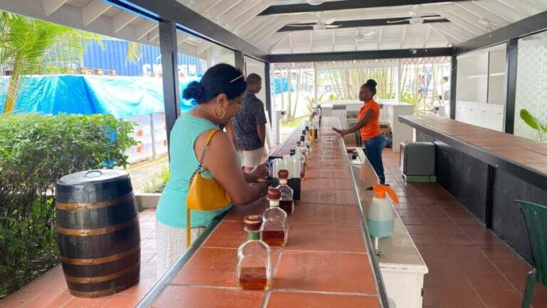 St. Lucia: Sightseeing, Rum tasting, and Shopping Tour - Who Should Consider This Tour?