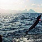 St Lucia Sport Fishing Tour - Frequently Asked Questions