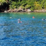 St. Lucia: Sulphur Springs, Waterfall, and Snorkeling Tour - A Deep Dive into the Experience