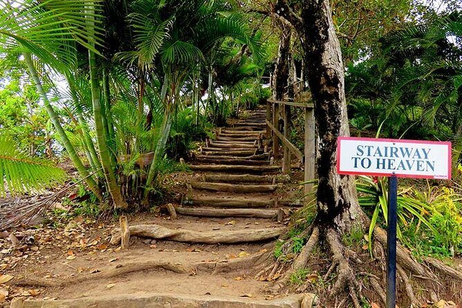 St Lucia Tet Paul Nature Trail and Sulphur Springs Tour - A Deep Dive into the Experience