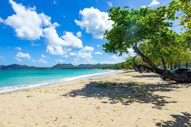 St Lucia Transfer from Castries Cruise Ship Port to Vigie Beach - A Closer Look at the Transfer Experience