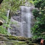 St. Lucia: Zipline Adventure Cruise Port and Hotel Pickup - An In-Depth Look at the Zipline Experience in St. Lucia