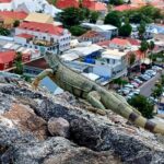 St. Maarten/Saint Martin Island Tour - FAQs