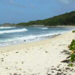 St. Martin or St. Maarten: Nature Hike Secret Beach Tour - The Realities: Benefits and Caveats