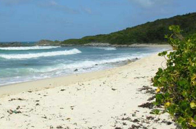 St. Martin or St. Maarten: Nature Hike Secret Beach Tour - The Realities: Benefits and Caveats