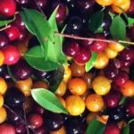 St.Martin - St.Maarten: Small Group, Cultural Heritage Tour - FAQs