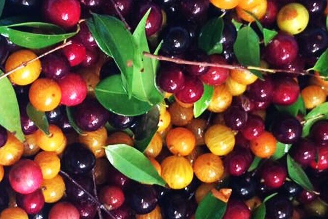 St.Martin - St.Maarten: Small Group, Cultural Heritage Tour - FAQs