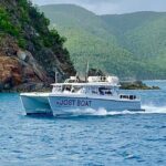 St. Thomas Lime Out Snorkel with Taco Bar Lunch & Swim-Up Bar - Ritz-Carlton - Who Should Consider This Tour?