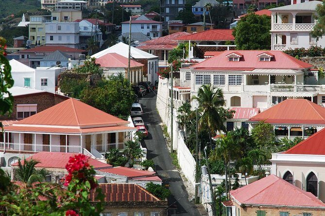 St Thomas Private Group Tour (11 or more ppl) - Who Will Love This Tour?