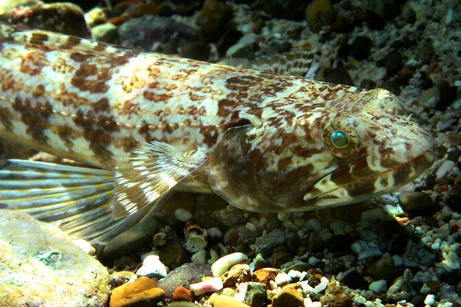 St Thomas Sea Turtle Snorkel Kayak Adventure Tour - A Closer Look at the Tour Itinerary