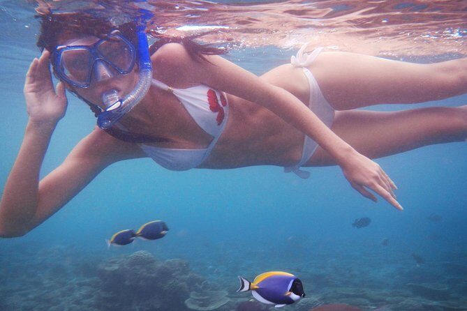 St Thomas~St John Snorkel, Swim & Beach Trip on MV Island Flyer - Who Will Love This Tour?