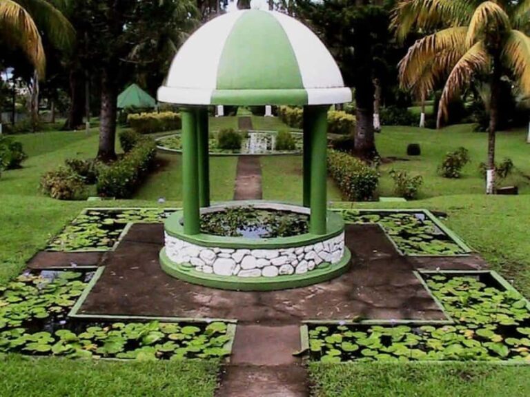 St. Vincent and the Grenadines: Kingstown City Tour - Why Travelers Rate This Tour Highly