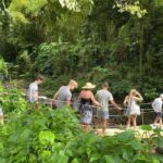 St. Vincent: Dark View Falls Tour - In-Depth Review of the Dark View Falls Tour