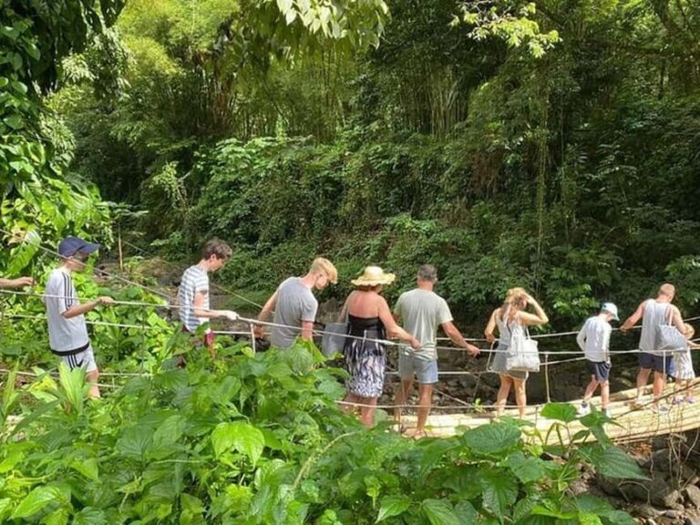 St. Vincent: Dark View Falls Tour - In-Depth Review of the Dark View Falls Tour