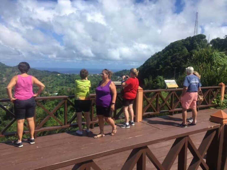 St. Vincent: La Soufriere Hike with Optional Villa Beach - The Value of the Experience