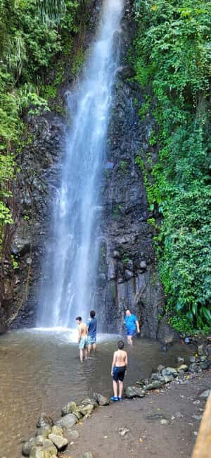 St. Vincent: Leeward Island Tour with Dark View Falls - An In-Depth Look at the Leeward Island Tour