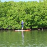 Stand up paddle in paradise - A Deep Dive into the Experience