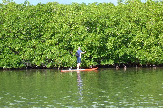 Stand up paddle in paradise