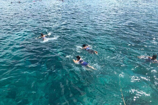 standard and premium private transfer from punta cana airport to cabarete - Who Is This Transfer For?