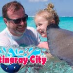 Stingray City and Starfish Experience with Coral Reef Snorkeling - An In-Depth Look at the Stingray City and Snorkeling Tour